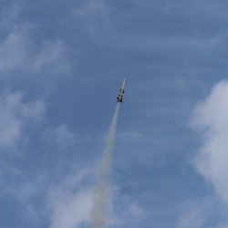 img_8556 roson 2016 ppavlika - let